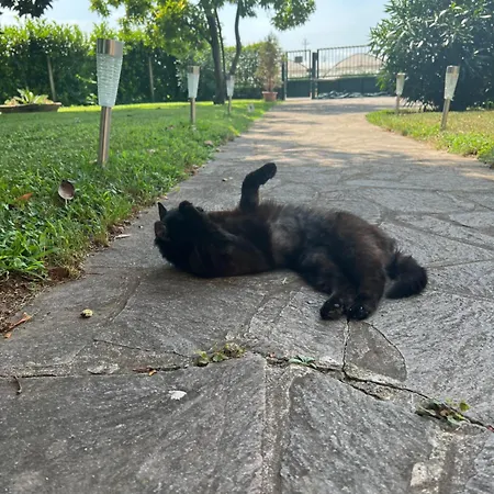 The Little Verona Πανσιόν