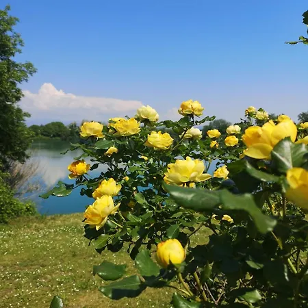 Πανσιόν The Little Verona