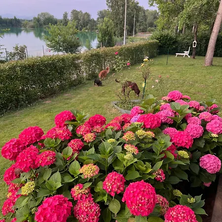The Little Verona * Bovo